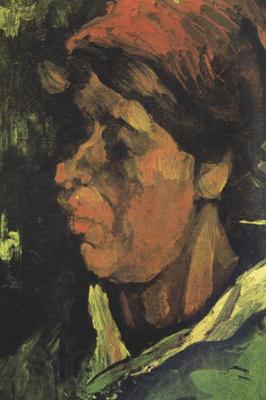 Vincent Van Gogh Head of a Peasant Woman with Dark Cap (nn040